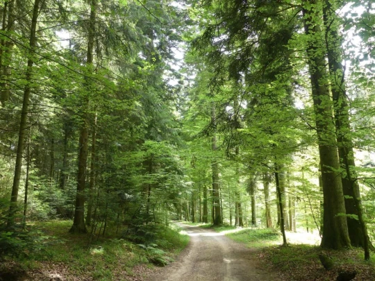 zollikofen-schoenbuhl-130