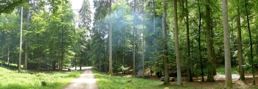 zollikofen-schoenbuhl-134