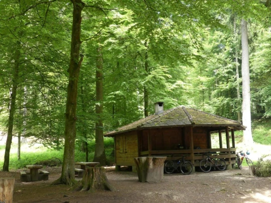 zollikofen-schoenbuhl-135