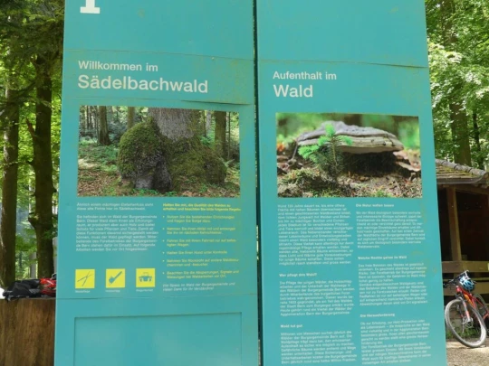 zollikofen-schoenbuhl-136