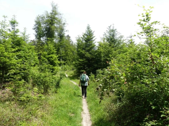 zollikofen-schoenbuhl-142