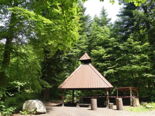 zollikofen-schoenbuhl-153