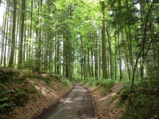 zollikofen-schoenbuhl-156