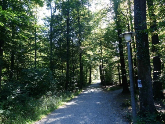 zurich-zoo-zollikerberg-103