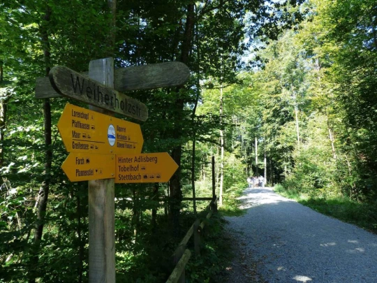 zurich-zoo-zollikerberg-123