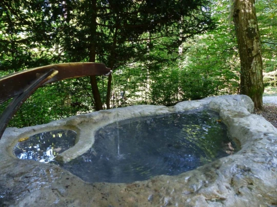 zurich-zoo-zollikerberg-126