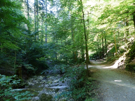 zurich-zoo-zollikerberg-131
