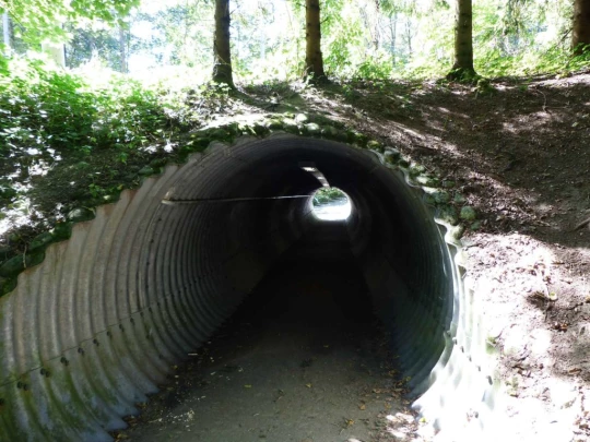 zurich-zoo-zollikerberg-135