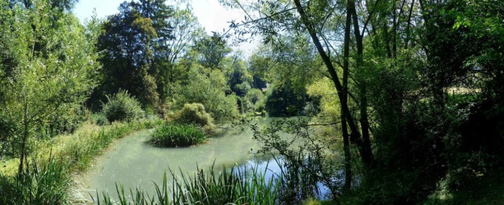 zurich-zoo-zollikerberg-138
