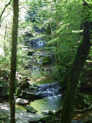 zurich-zoo-zollikerberg-143