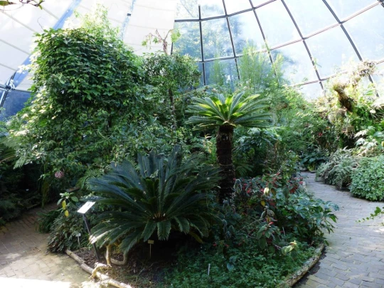 zurich-zoo-zollikerberg-157