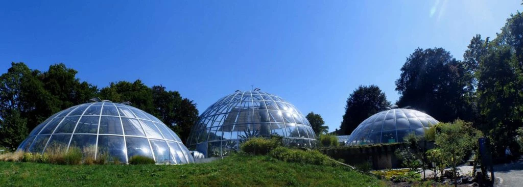 zurich-zoo-zollikerberg-173