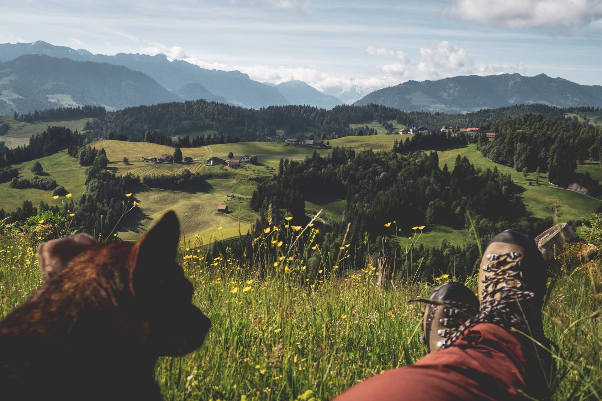 3 jours dans l’Emmental pour un grand bain de vert - Jour 2