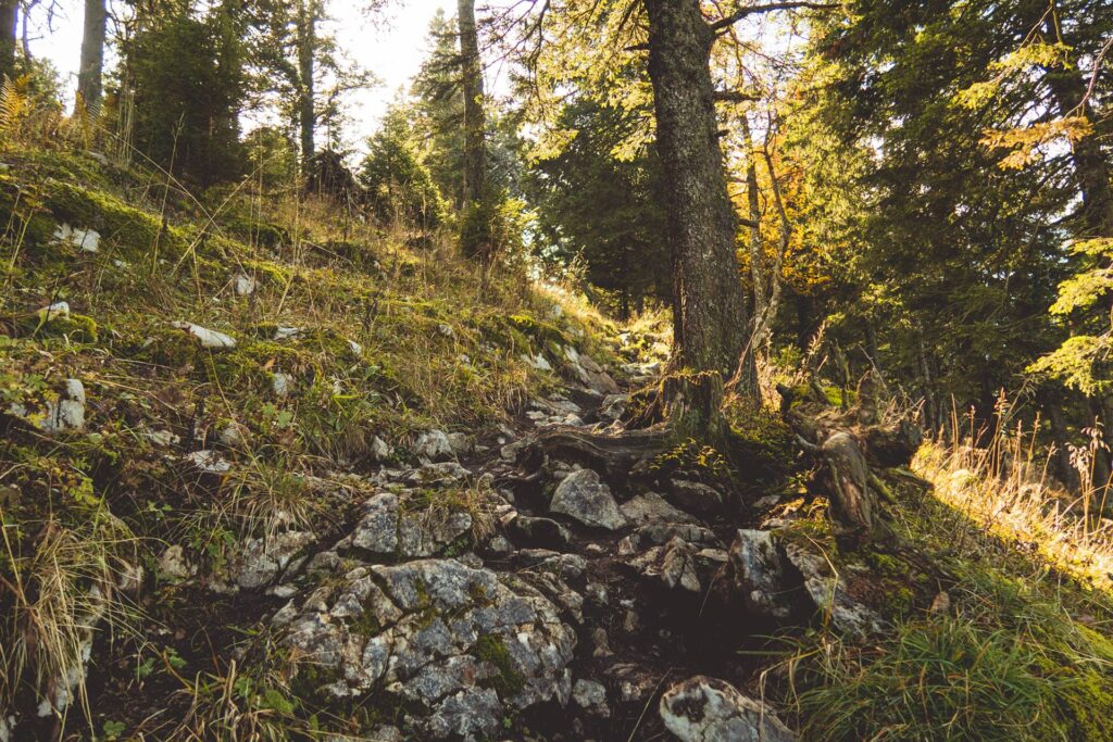 Le sentier est très glissant lorsqu'il est humide (racines, cailloux). On reste donc attentif à sa foulée...