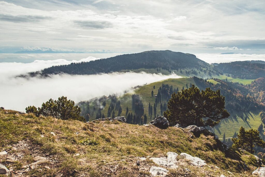 Et voilà déjà le sommet ! Les vaudois sont dans la peuffe au sud-est...