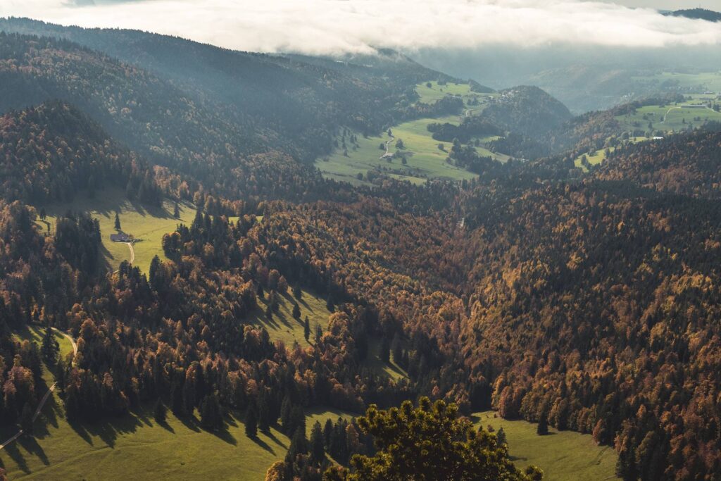 Paysage jurassien par excellence...