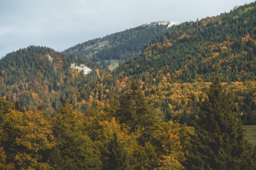 Vue sur le sommet du Suchet
