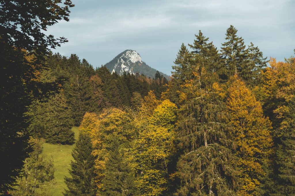 Et sur les Aiguilles qui s'éloignent gentiment. La voiture n'est plus très loin et la rando touche à sa fin...