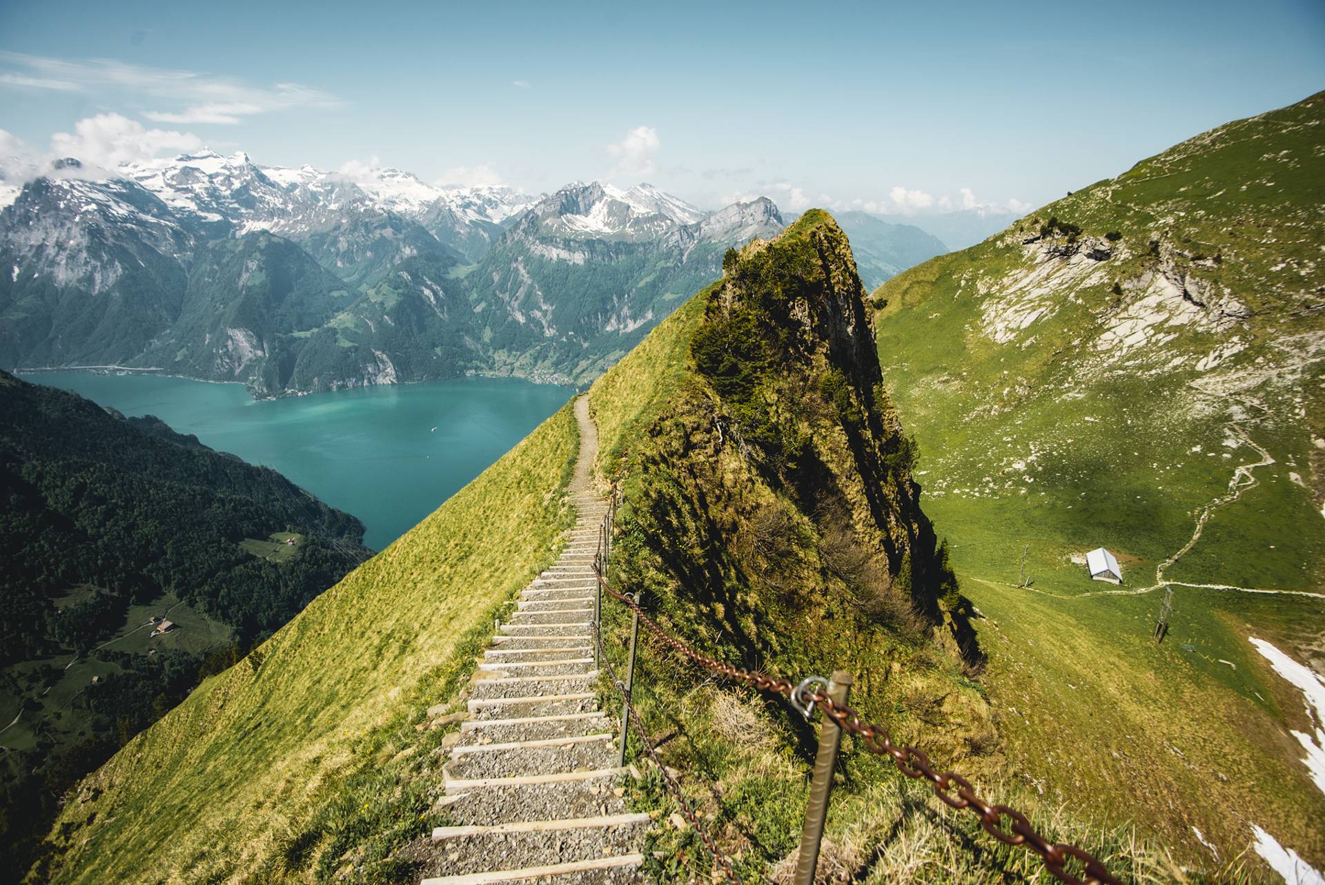 Voir naître le printemps dans les Wolfsschlucht-100