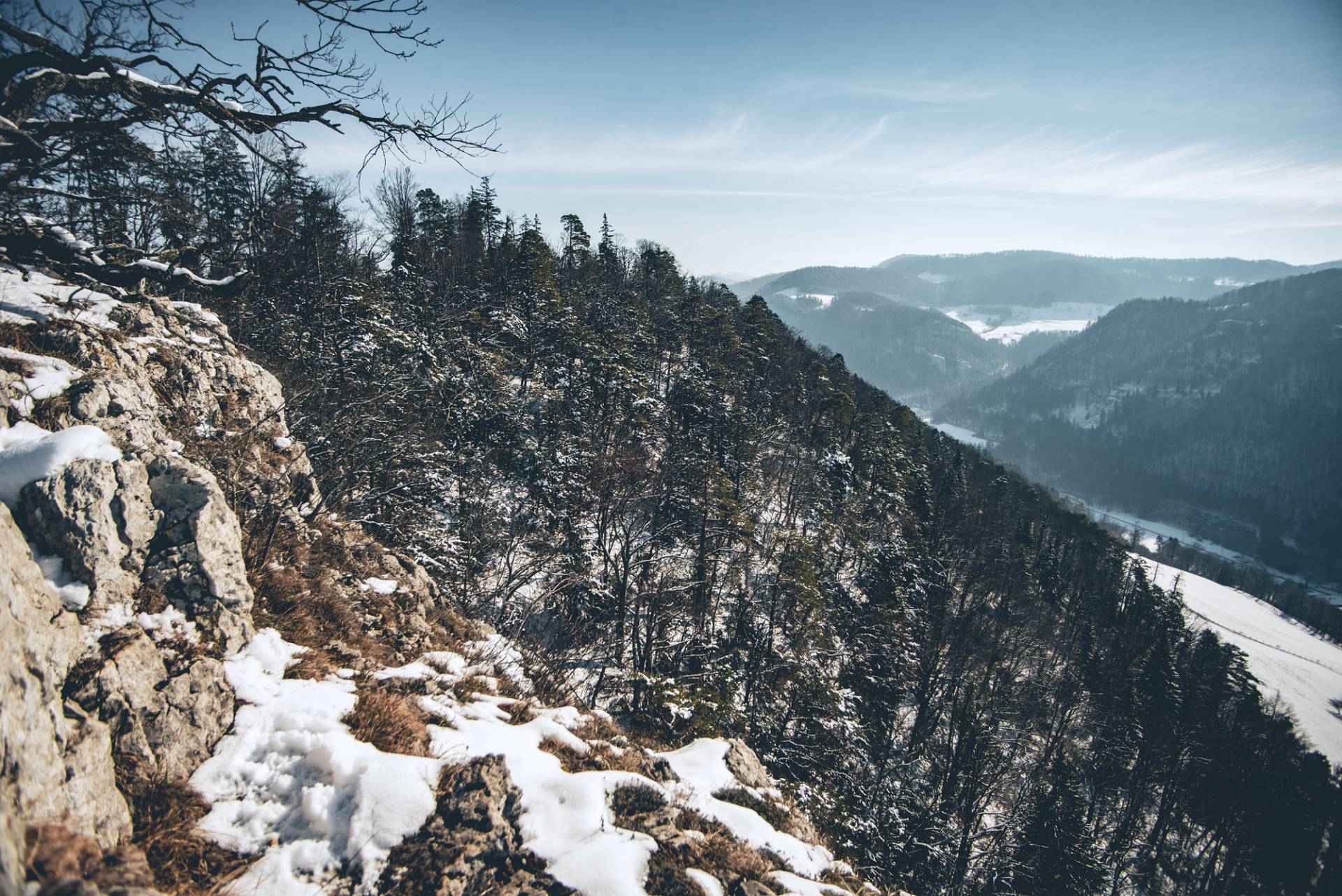 Voir naître le printemps dans les Wolfsschlucht-100