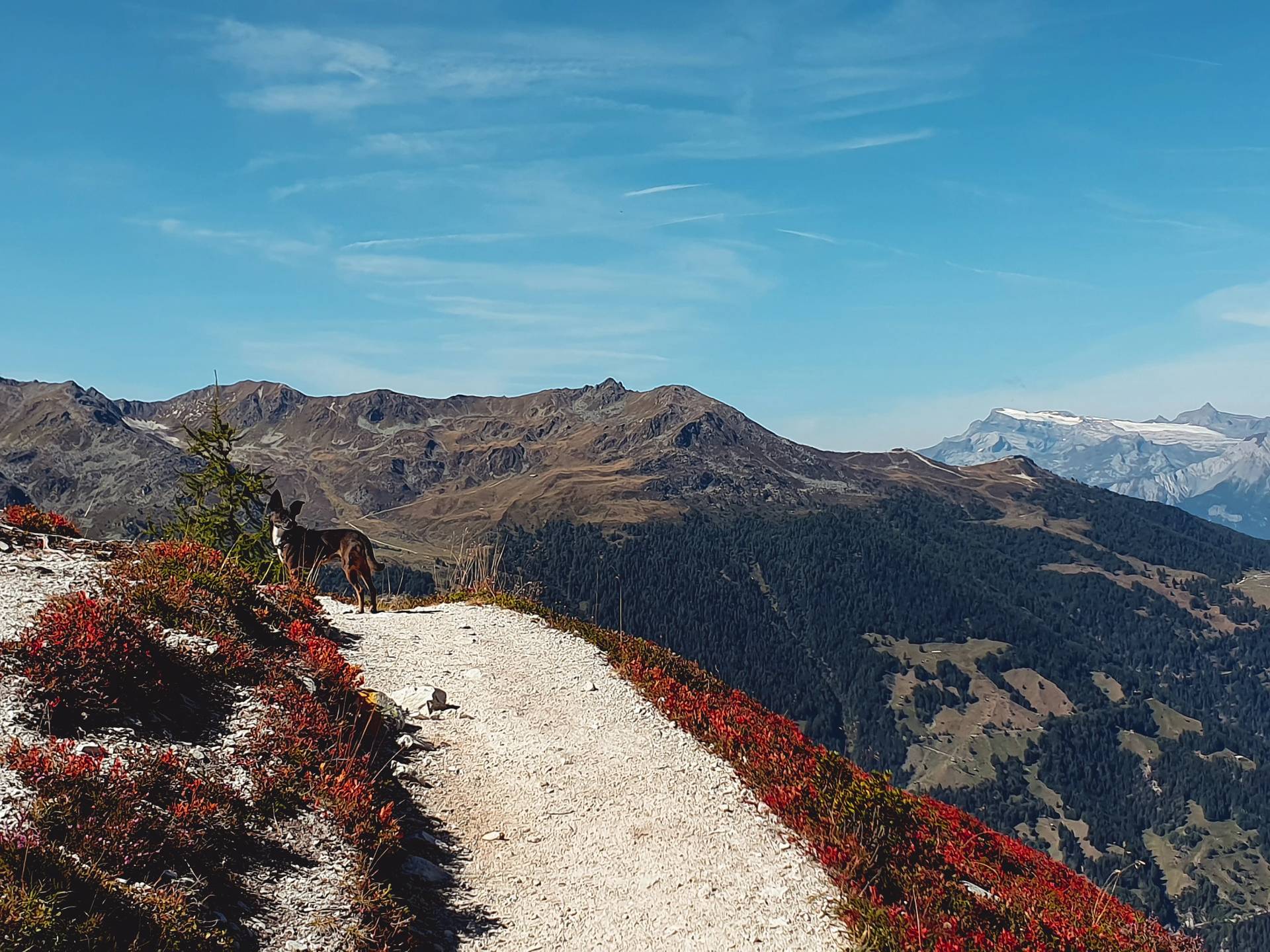 Voir naître le printemps dans les Wolfsschlucht-100