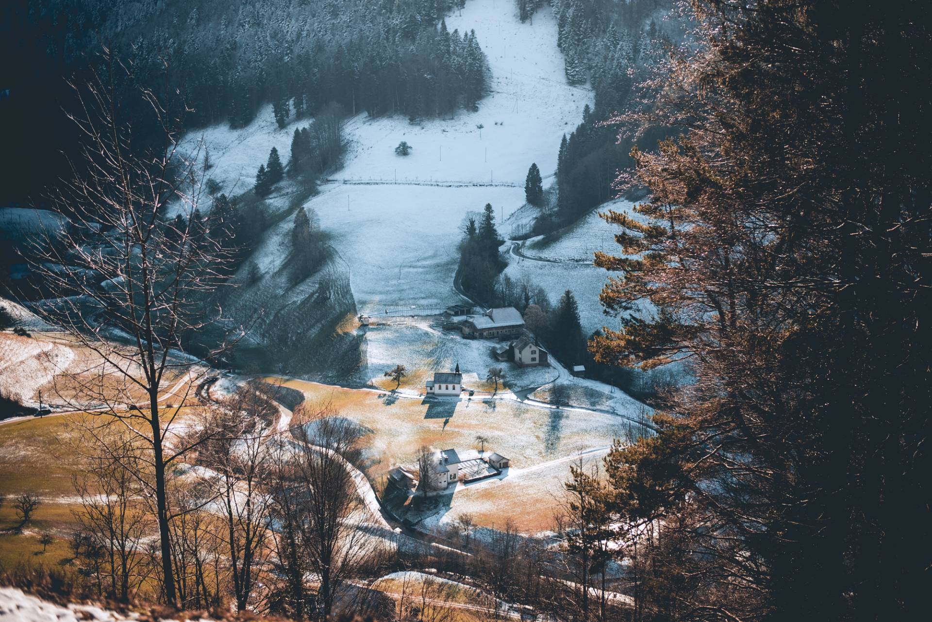 Voir naître le printemps dans les Wolfsschlucht-100