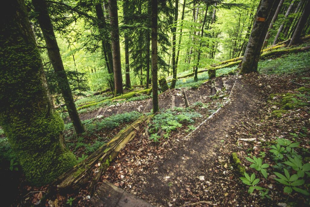 La descente vers le Doubs est balisée rouge-blanc. Il n'y a pas d'endroit exposé mais le sentier est glissant s'il est mouillé (ce qui était le cas aujourd'hui). On y trouve également l'une ou l'autre chaîne qui peut s'avérer utile et une dernière échelle à franchir (mon chien est passé à côté sans difficulté). On reste donc attentif et on pose les pieds avec attention.