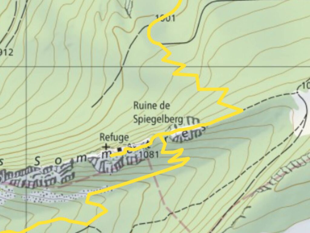 Dans le dernier virage qui donne juste sous la cabane des Sommêtres, un petit sentier est indiqué par une flèche bleue sur un arbre. Je suis curieuse et je l'emprunte. C'est un raccourci qui permet d'éviter un lacet supplémentaire mais le tracé n'est pas toujours bien visible. Dans tous les cas, on ne peut pas vraiment se perdre. La direction, c'est vers le haut ! Le tracé en zig-zag ci-dessous est donc totalement approximatif. Si vous téléchargez le fichier GPS, ne suivez pas aveuglément mon tracé mais observez le sentier sur le terrain.