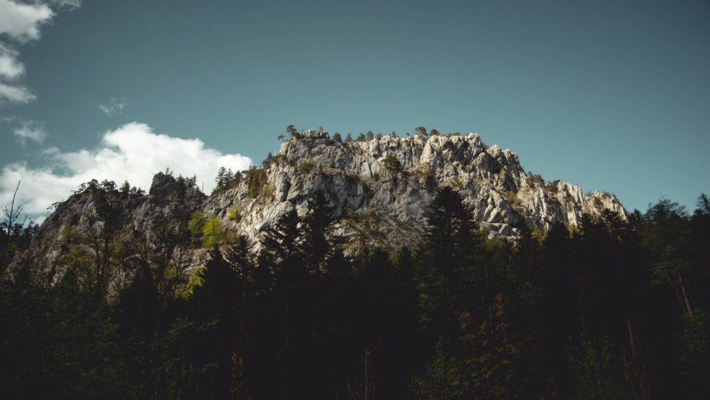 Le retour peut se faire de 2 manières. Soit on dépasse la ruine de Spiegelberg (pas Spielberg, hein !) et on suit le sentier qui revient ensuite parallèlement à l'arête, soit on coupe par un petit sentier au niveau de la ruine, comme indiqué sur mon tracé. C'est un petit sentier qui n'est pas balisé mais il est bien visible. Il n'est pas particulièrement technique, bien qu'un peu raide par endroits. On retombe de toute façon à la même place, sur un sentier qui nous ramènera vers le parking, en offrant encore l'une ou l'autre jolie vue sur l'arête depuis le bas.
Et nous voilà de retour à la voiture, les jambes en compote !
Le programme de la soirée ? un bon bain et un verre de rouge !
