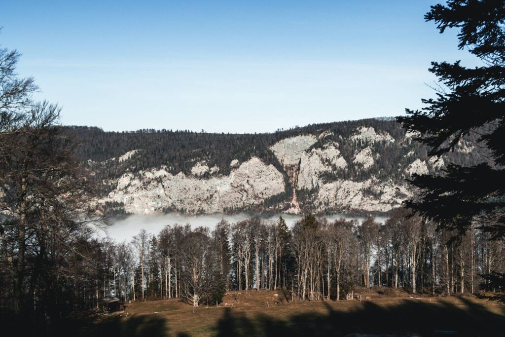 Le sentier alterne entre forêt et pâturage, en pente douce d'abord puis légèrement plus raide sur la 2ème moitié. Très vite, on se félicite d'avoir pris de l'altitude. La vue sur les falaises de Welschenrohr est impressionnante. Ca donne envie de sortir la corde et le baudrier !