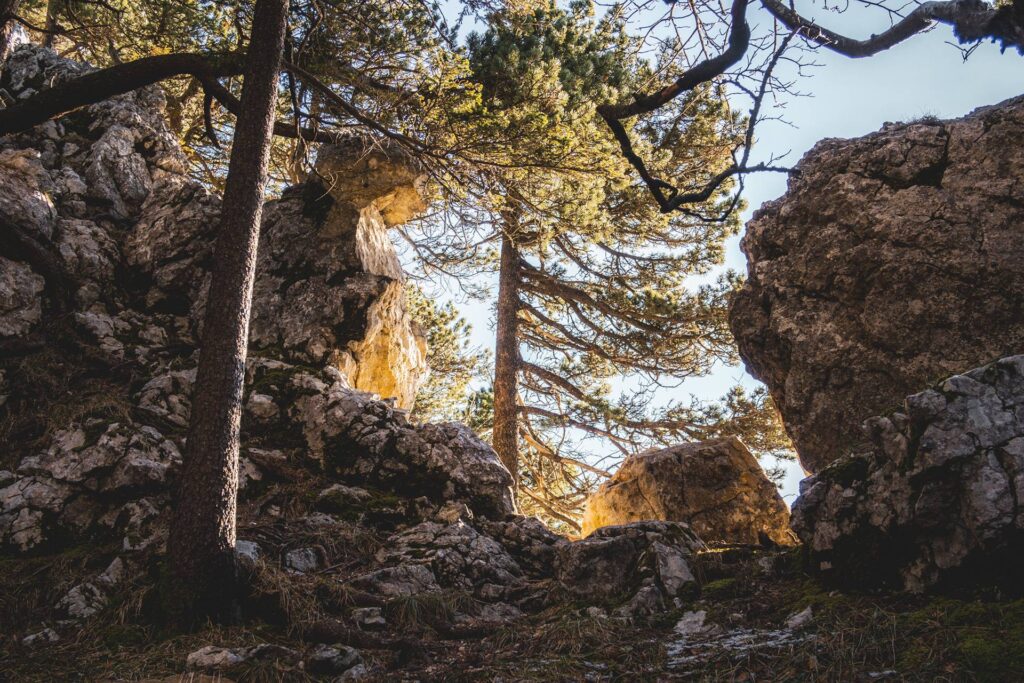 On avance sur un chemin fait de cailloux, racines et marches d'escalier pour regagner 60m d'altitude. Le long des rochers, on devine les rayons du soleil.