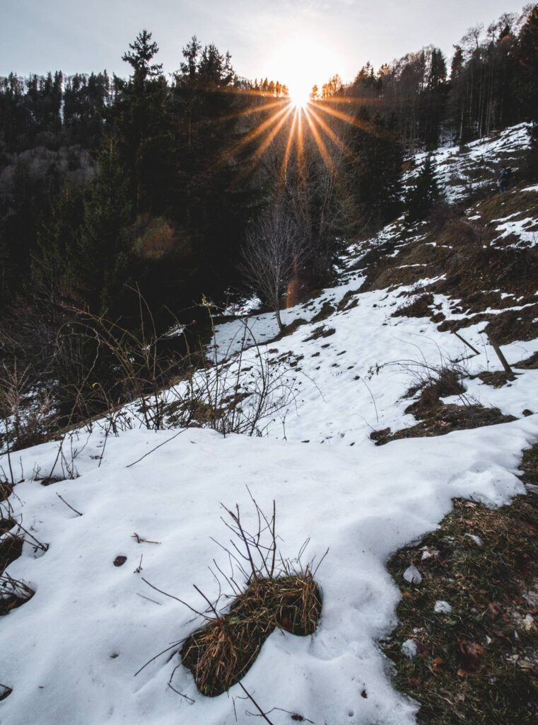 Et enfin, le soleil nous revient (timidement, certes, mais il est là !)