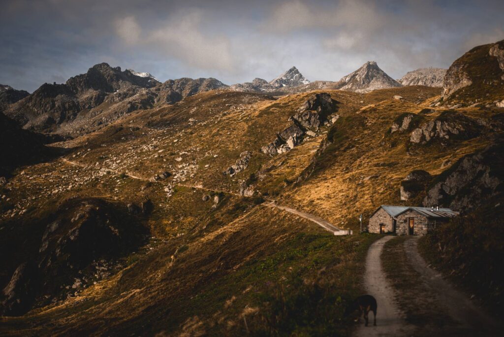 Les écuries de Sery (le sentier part à gauche de l'abreuvoir et est peu visible mais il est bien là).