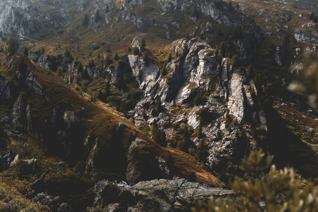 Le sentier est bordé de myrtilles et notre gourmandise nous ralentit sérieusement... mais après tout, on a le temps de profiter !
Enfin, vers 16h, nous arrivons à la cabane Brunet, fatigués mais heureux ! On prend le temps d'une petite bière sur la terrasse avant de redescendre en plaine direction Lavey pour une soirée fort agréable aux bains.
