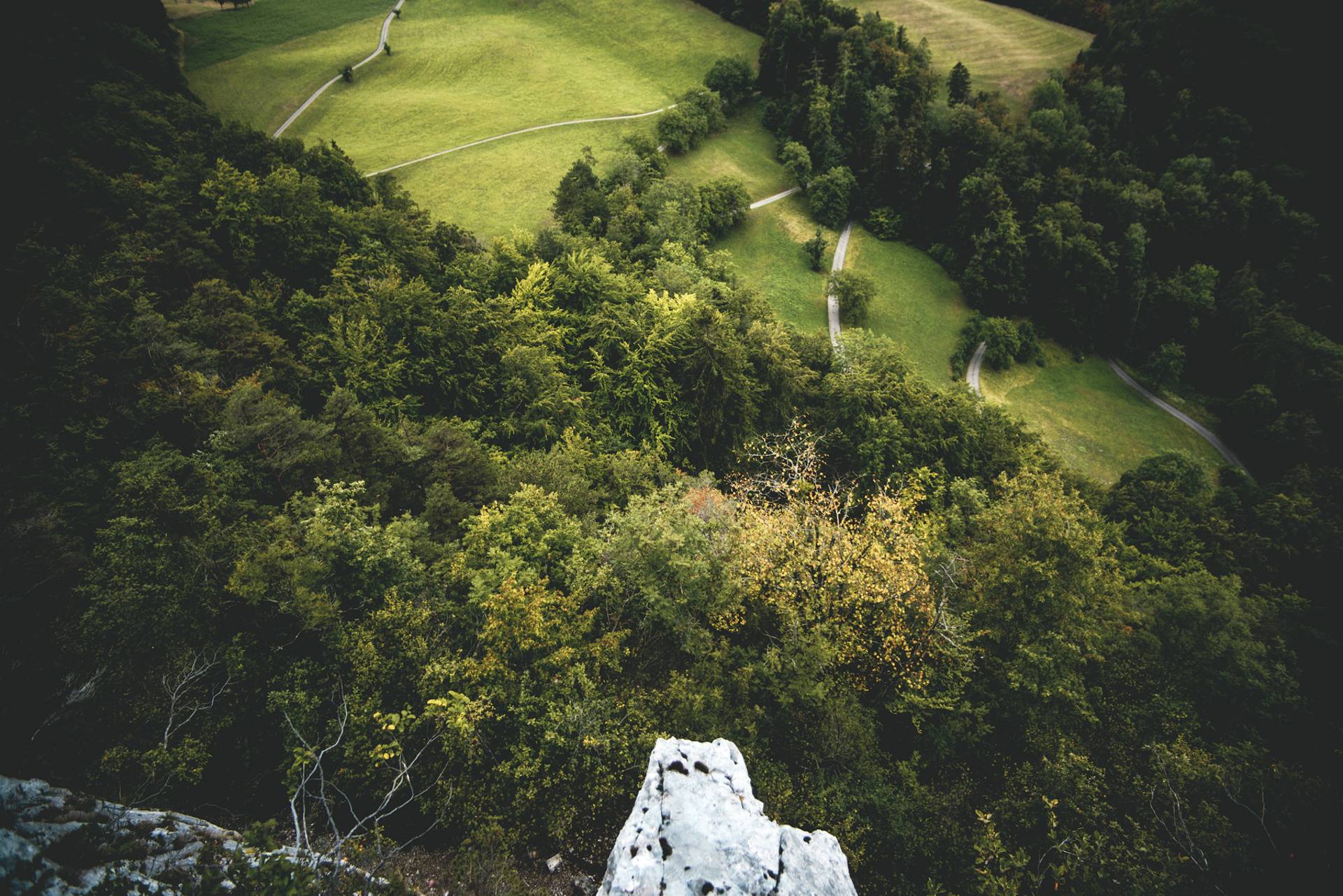 Voir naître le printemps dans les Wolfsschlucht-100