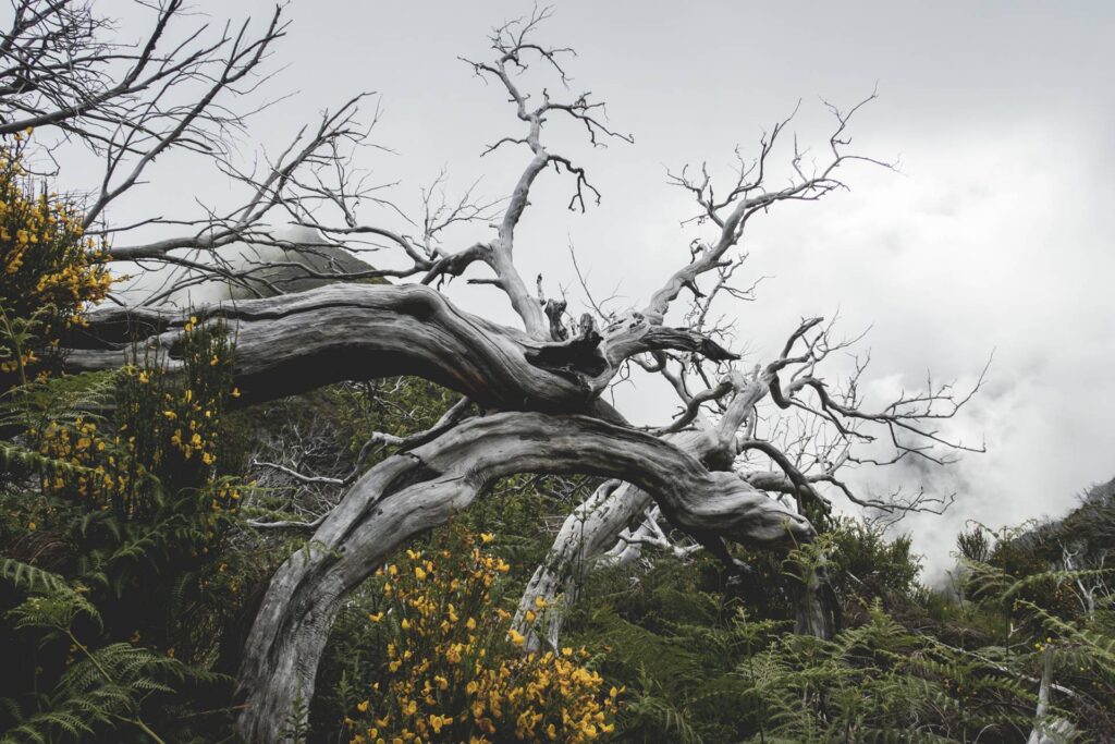 Et voilà que le gris nous rattrape créant une atmosphère mystérieuse...
