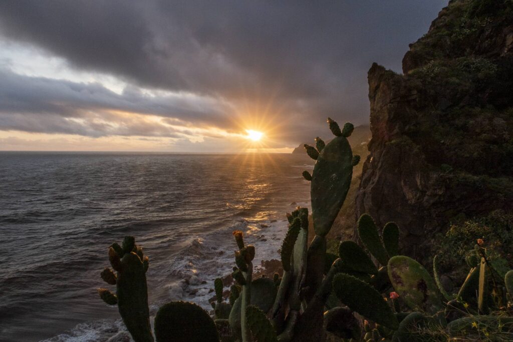 Et voilà de magnifiques vacances qui s'achèvent !
Madère est une île riche en découvertes, dotée d'une végétation superbe, d'un climat très agréable (quand il n'y a pas de tempête...). En effet, ici jamais de grosses grosses chaleurs et rarement des températures sous 15°C. Ce n'est pas pour rien qu'on l'appelle "l'île de l'éternel printemps".