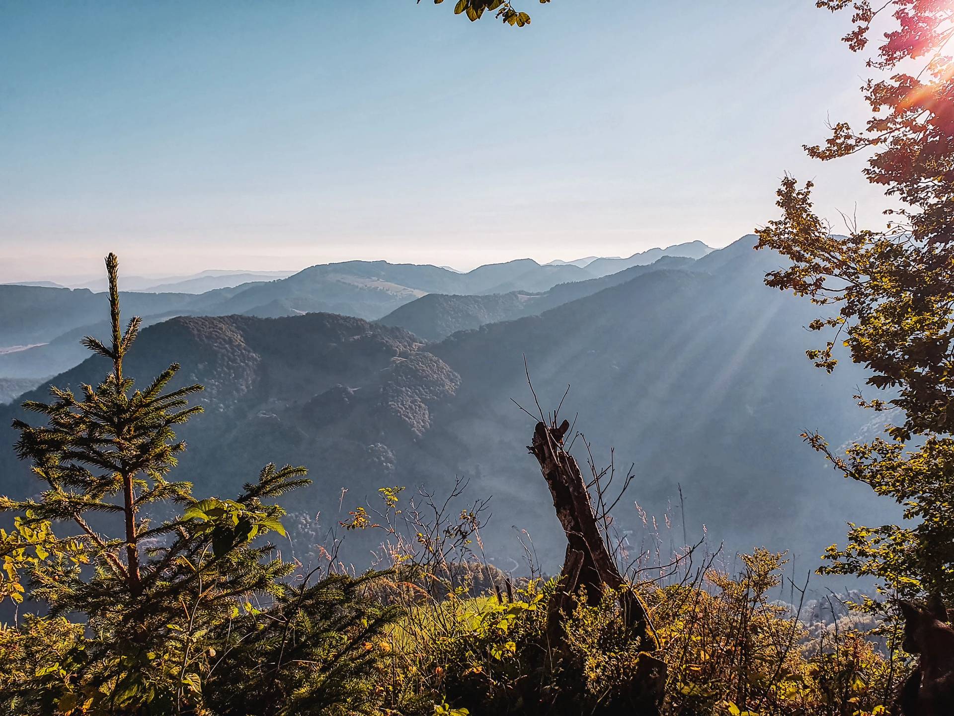 Voir naître le printemps dans les Wolfsschlucht-100