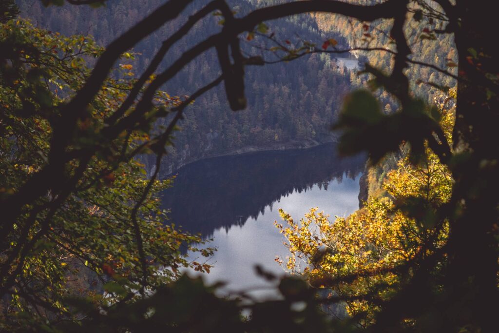 Et quelques fois, on aperçoit le Doubs à travers les branchages.