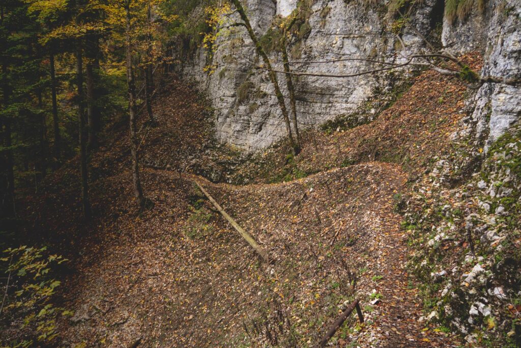 Et voilà à quoi ressemble le sentier par endroits. Ce sont les passages les plus "exposés" du tracé. Il n'y a ni cailloux, ni racines et je dirais qu'il faudrait vraiment faire exprès pour rouler en bas. Il est à noter que le sentier n'est pas comme ça tout du long mais seulement par petits passages.