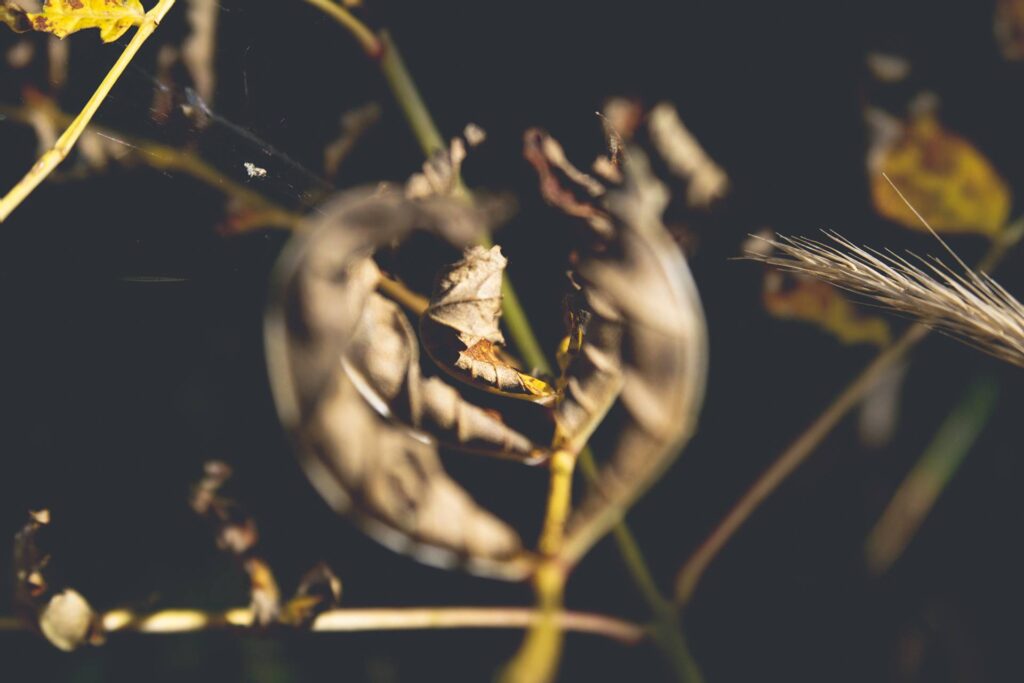 D'abord un peu "frustrée" et craignant l'ennui sur cette portion peu aventureuse, je me rappelle que c'est dans le vide qu'on trouve le plein... Je décide donc de concentrer mon attention sur tout ce qui m'entoure et de poser un regard neuf sur tous ces petits détails qui rendent finalement ce chemin absolument passionnant. Voici tout ce qu'on peut découvrir quand on ouvre bien les yeux...