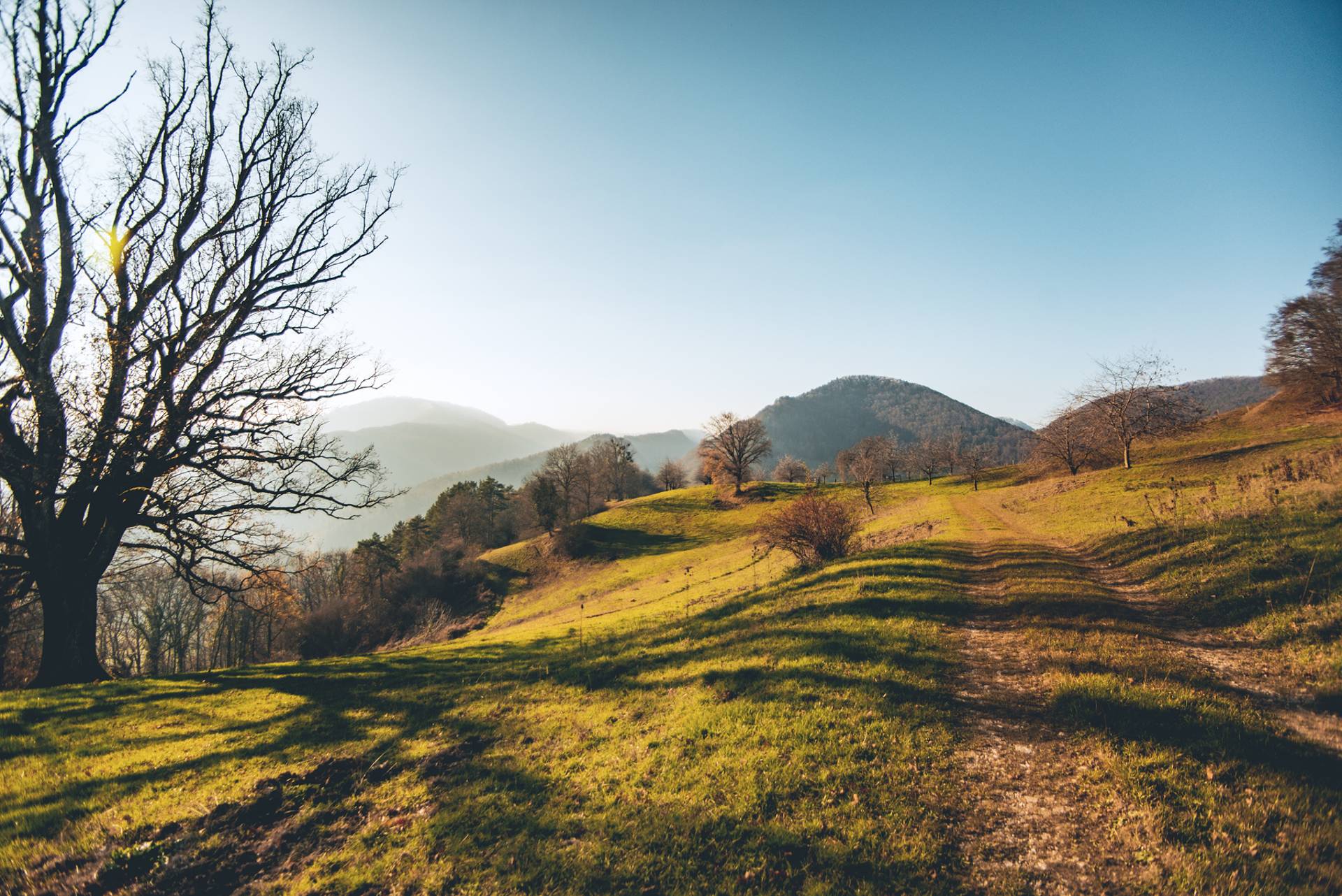 Voir naître le printemps dans les Wolfsschlucht-100