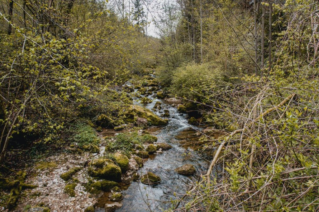 A peine arrivés, on traverse un petit pont sur la rivière..