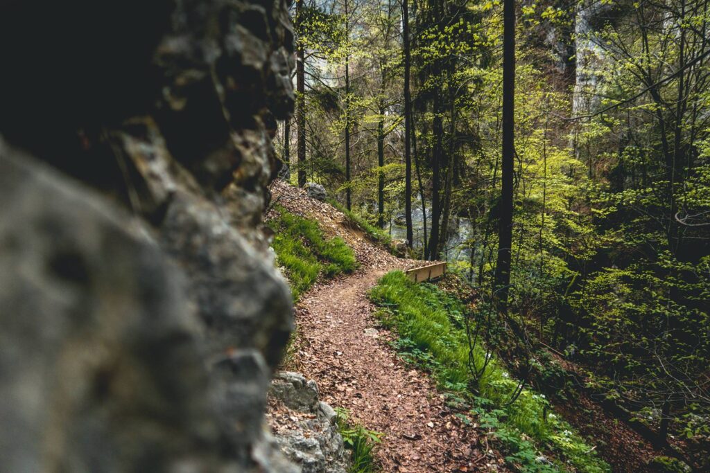 Le sentier est facile...