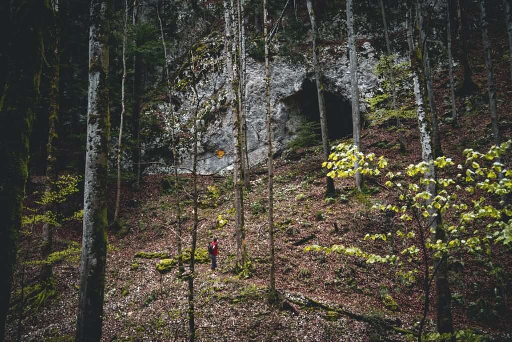 On y découvre également quelques curiosités dont cette grotte parmi d'autres.