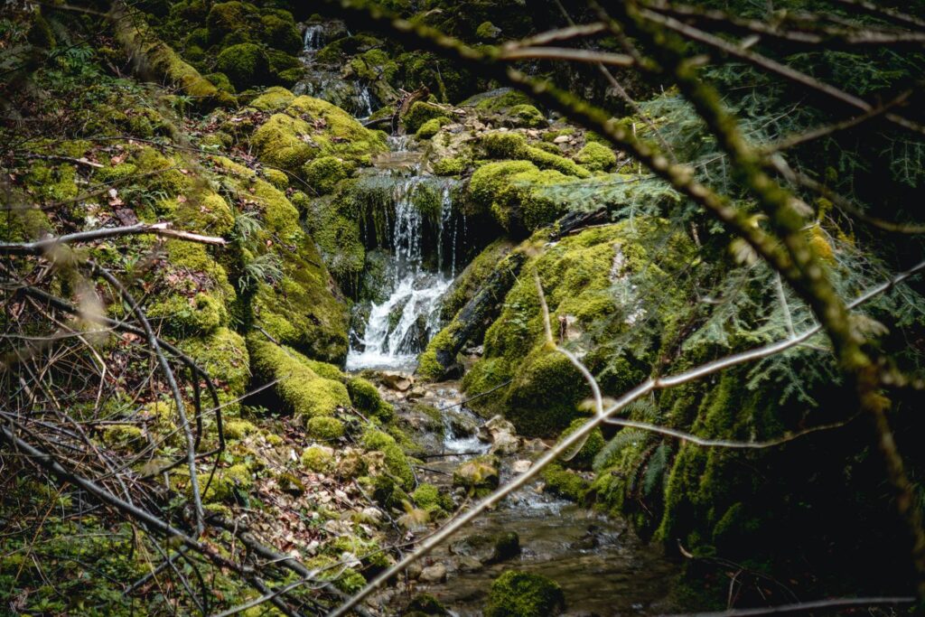 On savoure les derniers mètres dans les gorges...