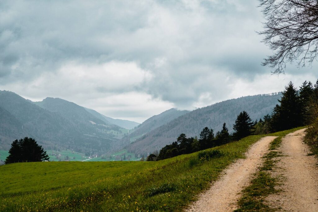 A la fin des gorges, nous voilà sur un chemin blanc en direction du Bärenloch, une autre curiosité que nous choisissons d'aller découvrir.