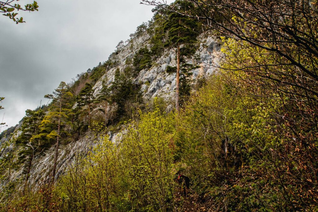 Sur le sentier, la vue s'ouvre sur les falaises...