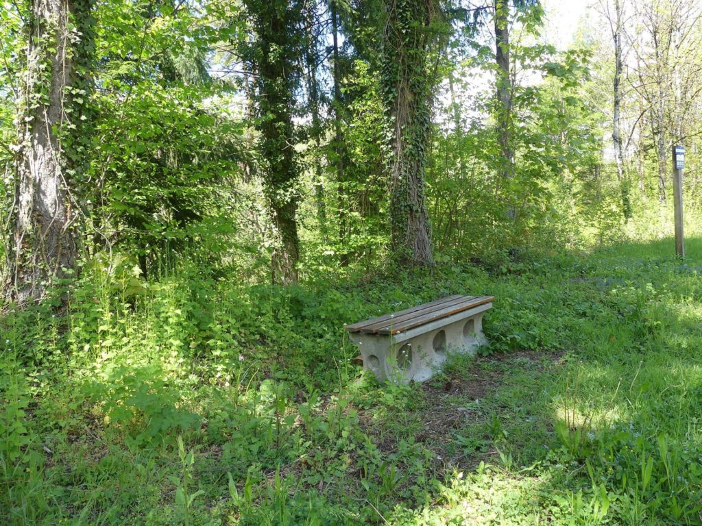 banc-1003