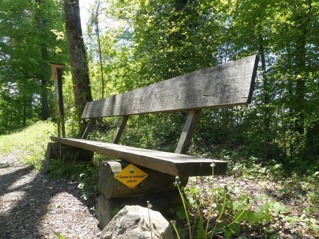 banc-1004